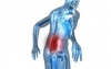Chữa chứng đau lưng cấp do giãn dây chằng cột sống (cơ gai sống)