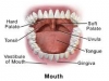 13-2-6.Bệnh Miệng răng lưỡi