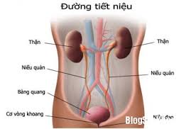 BÍ TIỂU TIỆN, ĐẠI TIỆN